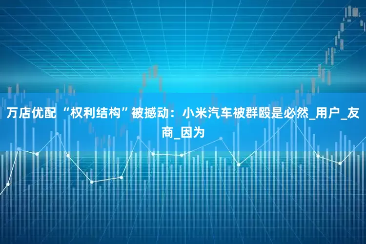万店优配 “权利结构”被撼动：小米汽车被群殴是必然_用户_友商_因为