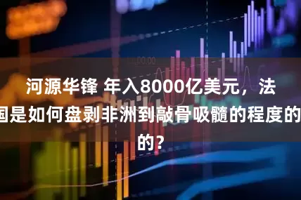河源华锋 年入8000亿美元，法国是如何盘剥非洲到敲骨吸髓的程度的？