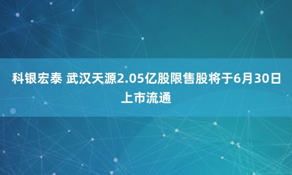 科银宏泰 武汉天源2.05亿股限售股将于6月30日上市流通