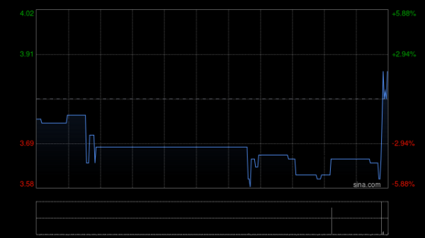 汇银配资 METASPACEX建议采纳中文名称“中国数智科技集团有限公司”