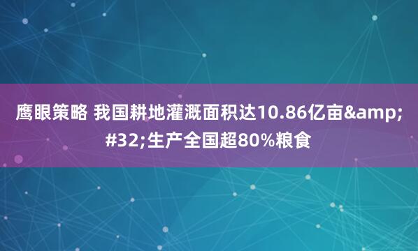 鹰眼策略 我国耕地灌溉面积达10.86亿亩 生产全国超80%粮食