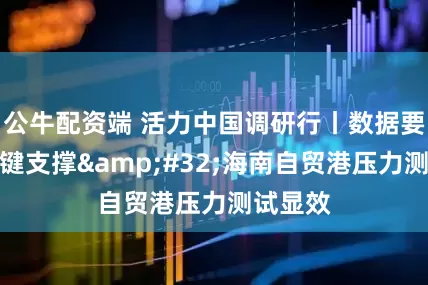 公牛配资端 活力中国调研行丨数据要素成关键支撑 海南自贸港压力测试显效