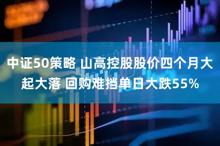 中证50策略 山高控股股价四个月大起大落 回购难挡单日大跌55%